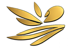 Last Mile Distribution paraguay logo